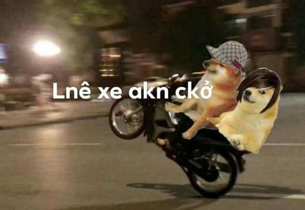 ảnh meme đua xe