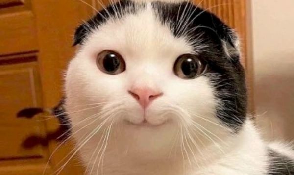 ảnh meme hài (14) ảnh meme hài (14)