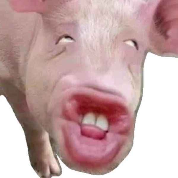 ảnh meme hài (24) ảnh meme hài (24)