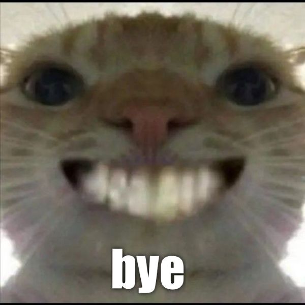 bye bye meme