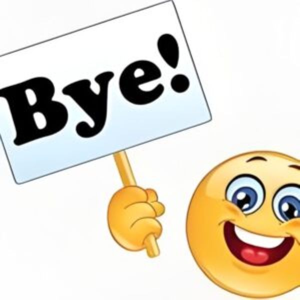bye meme (18)