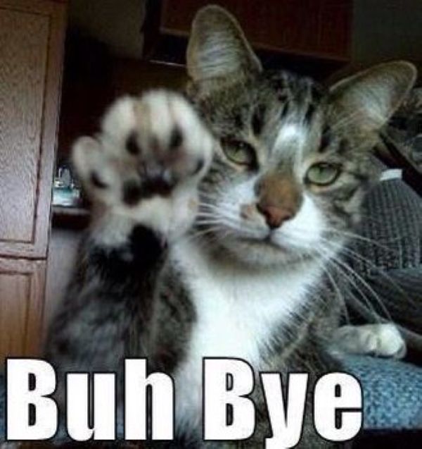 bye meme (28)