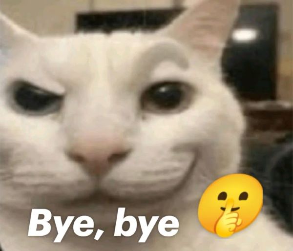 bye meme (6)