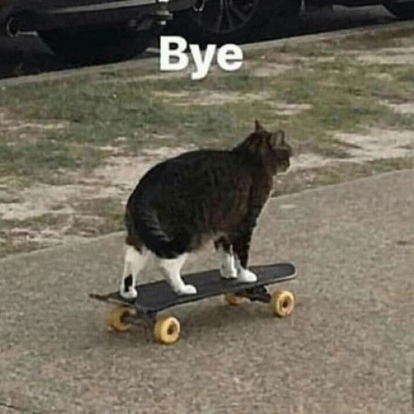 bye meme (7)