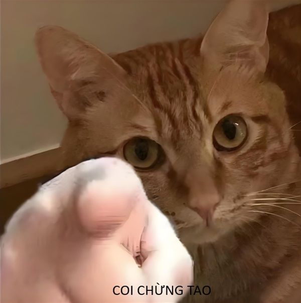 coi chừng tao meme (14) coi chừng tao meme (14)