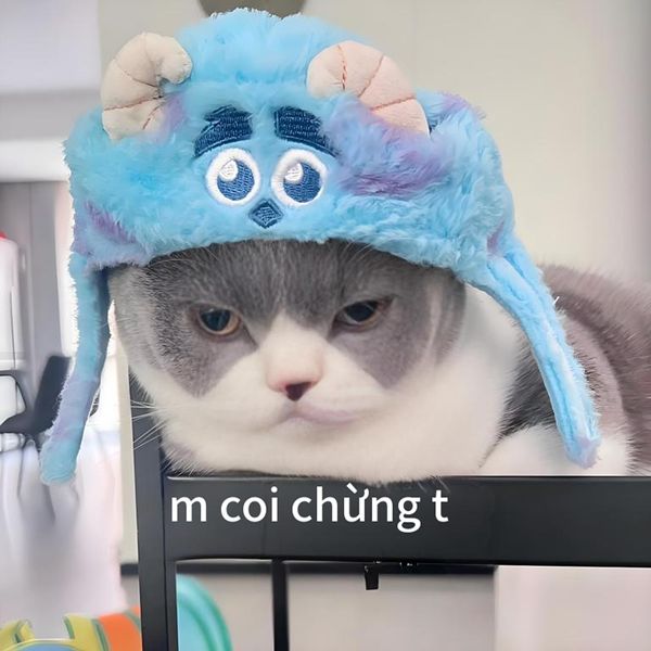 coi chừng tao meme (16) coi chừng tao meme (16)