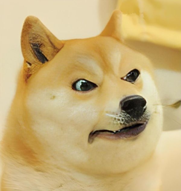 coi chừng tao meme (21) coi chừng tao meme (21)