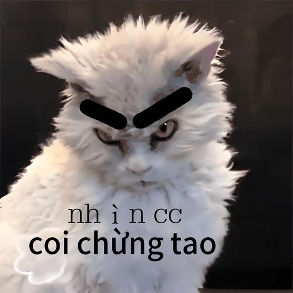 coi chừng tao meme (5) coi chừng tao meme (5)