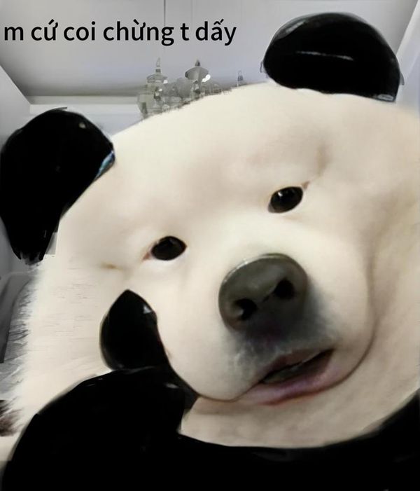 coi chừng tao meme (6) coi chừng tao meme (6)