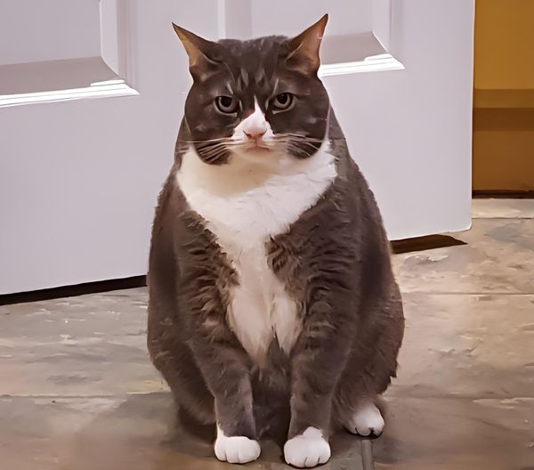 coi chừng tao meme (9) coi chừng tao meme (9)