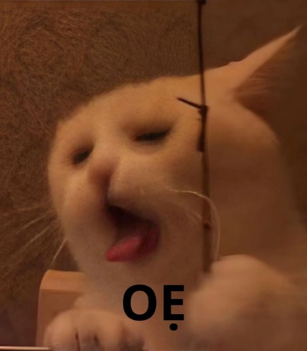 con mèo meme oẹ con mèo meme oẹ