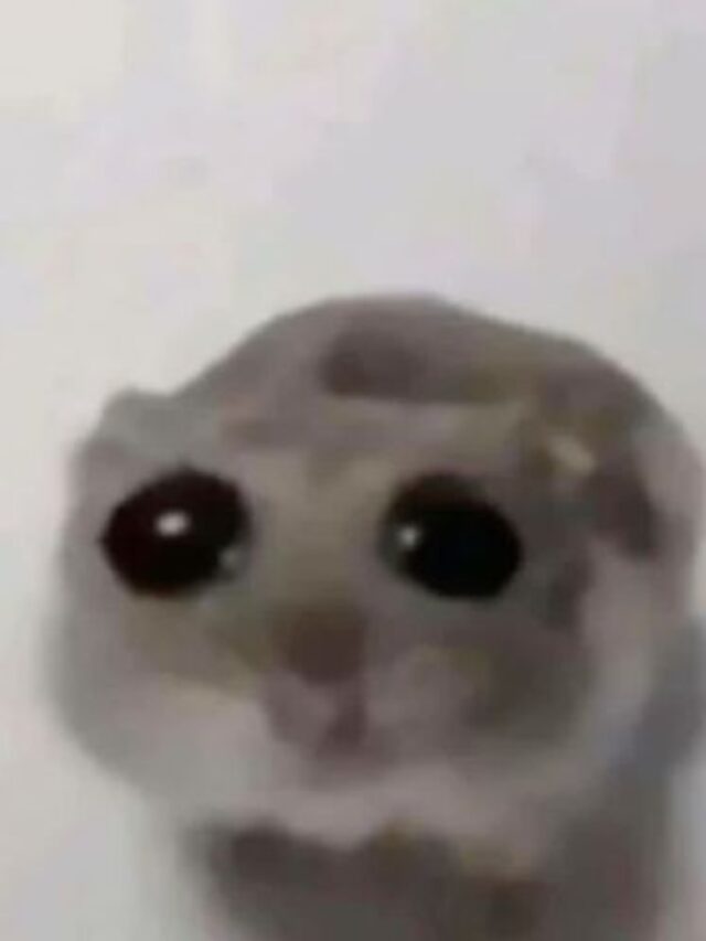 cropped anh meme buon 20.jpg