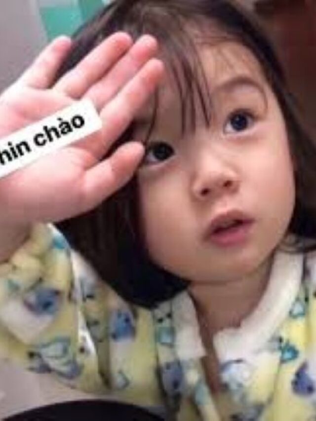 Cập nhật 99+ trend ảnh meme chào cậu hot nhất 2025