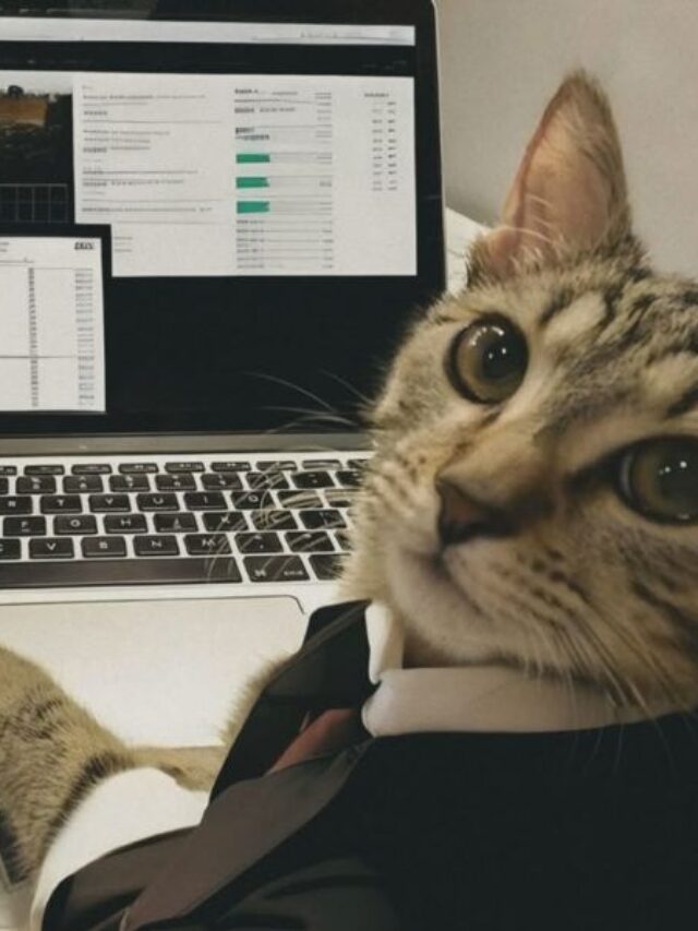 Tổng hợp 99+ ảnh meme chạy deadline hài hước nhất 2025