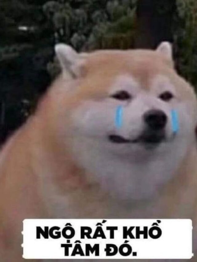 BST 99+ ảnh meme đau khổ – Cười để quên đi nỗi buồn