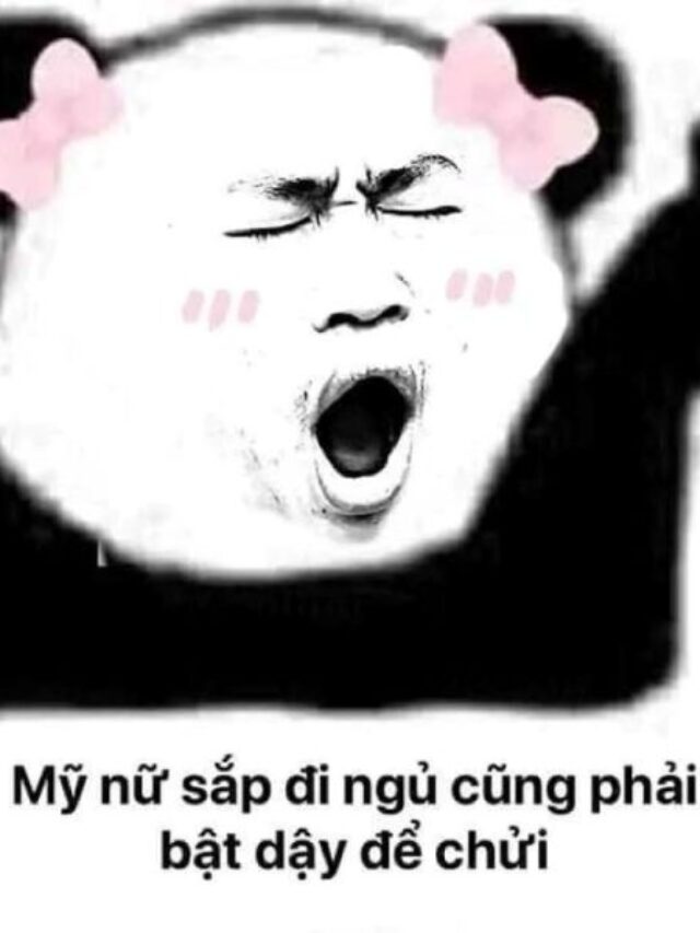 cropped meme ngu 19.jpg