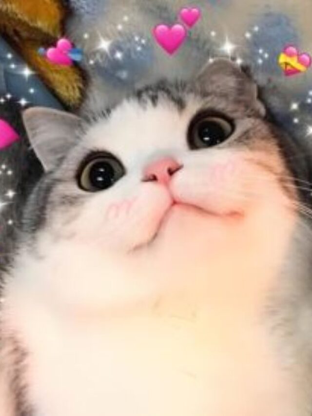 cropped meme tinh yeu 18.jpg