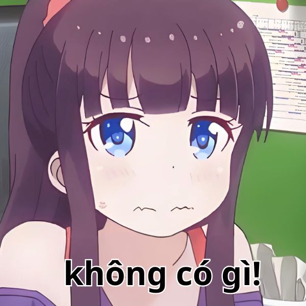 không meme (11)