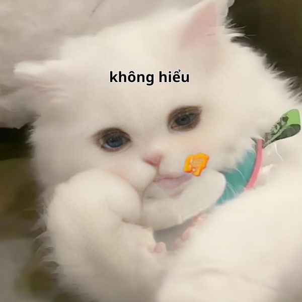 không meme (13)