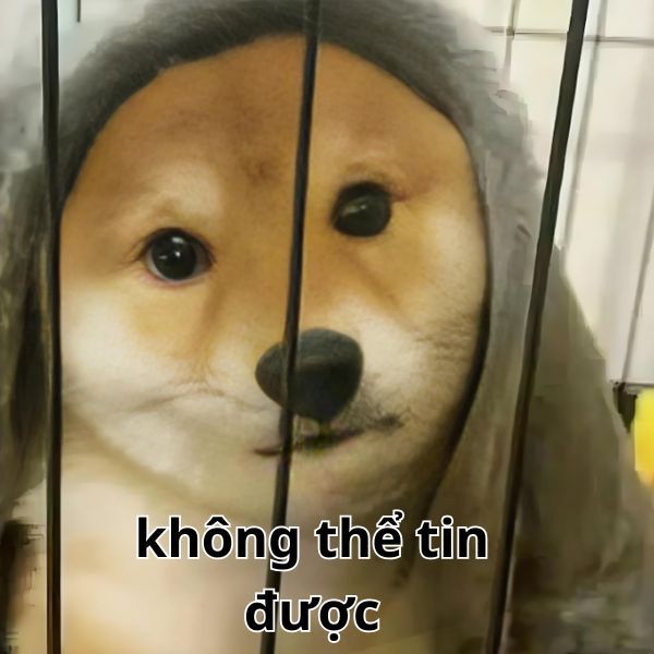 không meme (21)