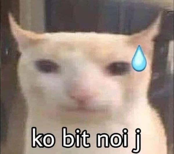 không meme (5)