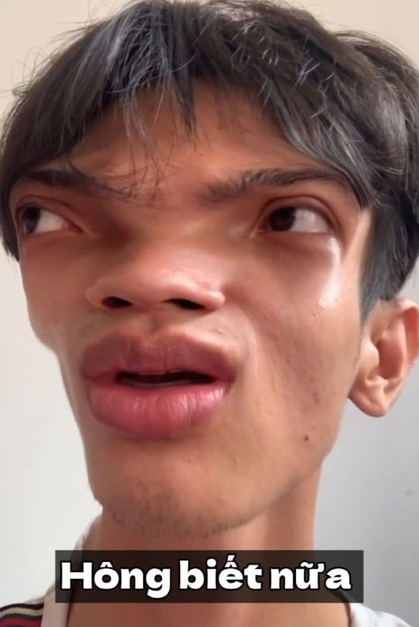 không meme (7)