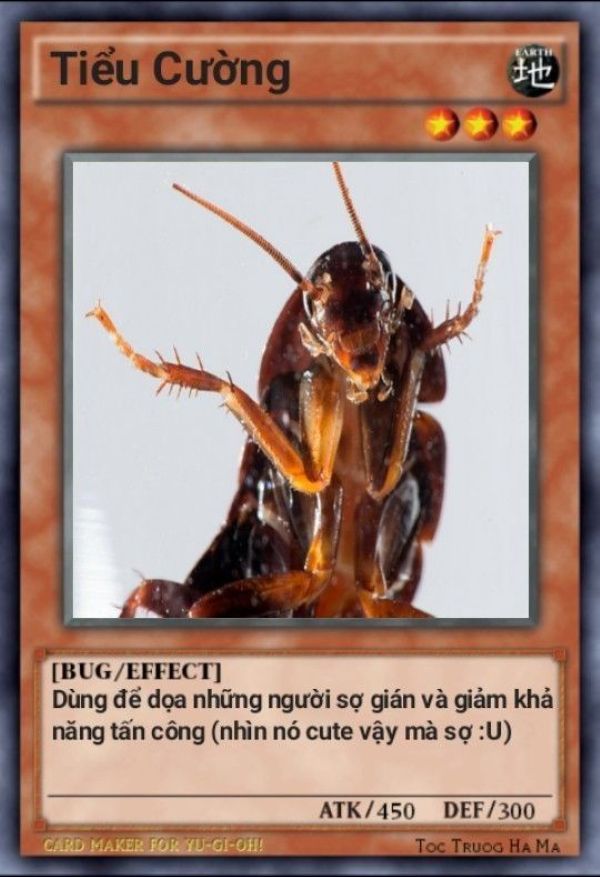 lá bài meme (16)