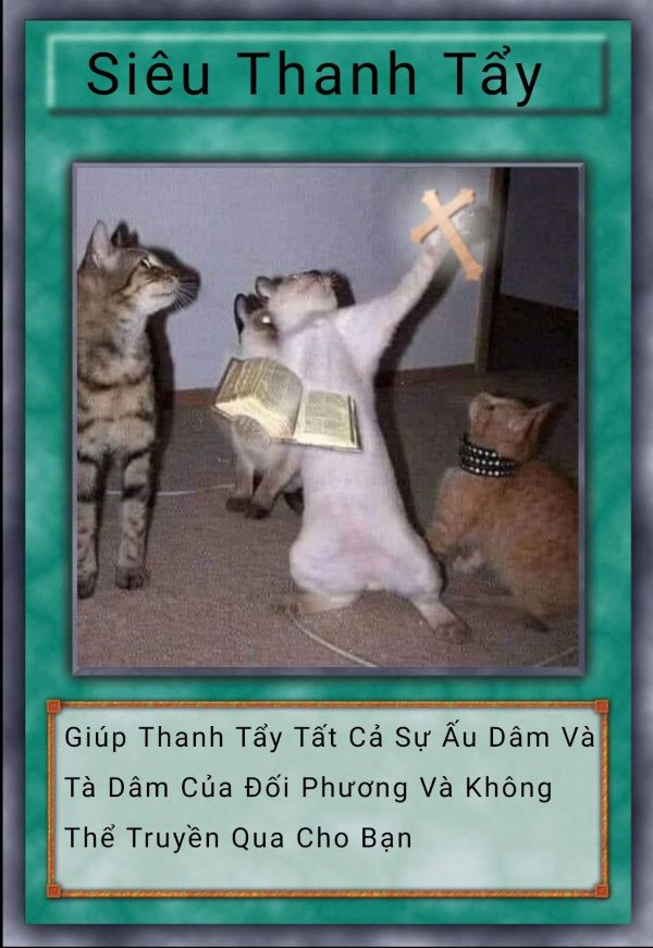 lá bài meme (20)