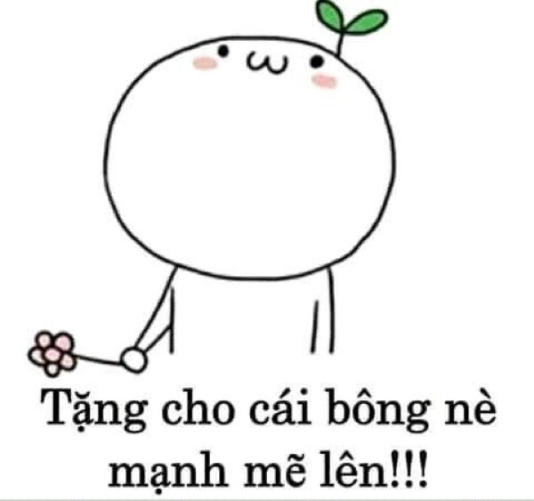 meme an ủi (1)