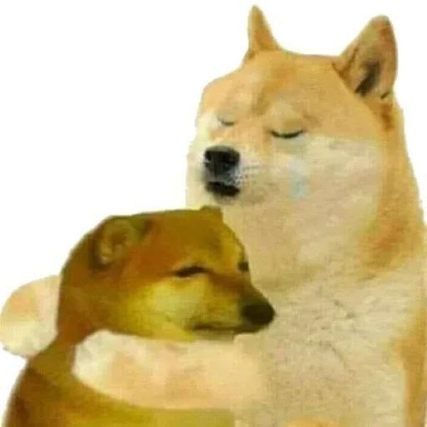 meme an ủi (23)