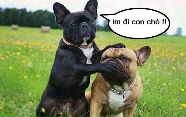 meme bịt miệng (1) meme bịt miệng (1)