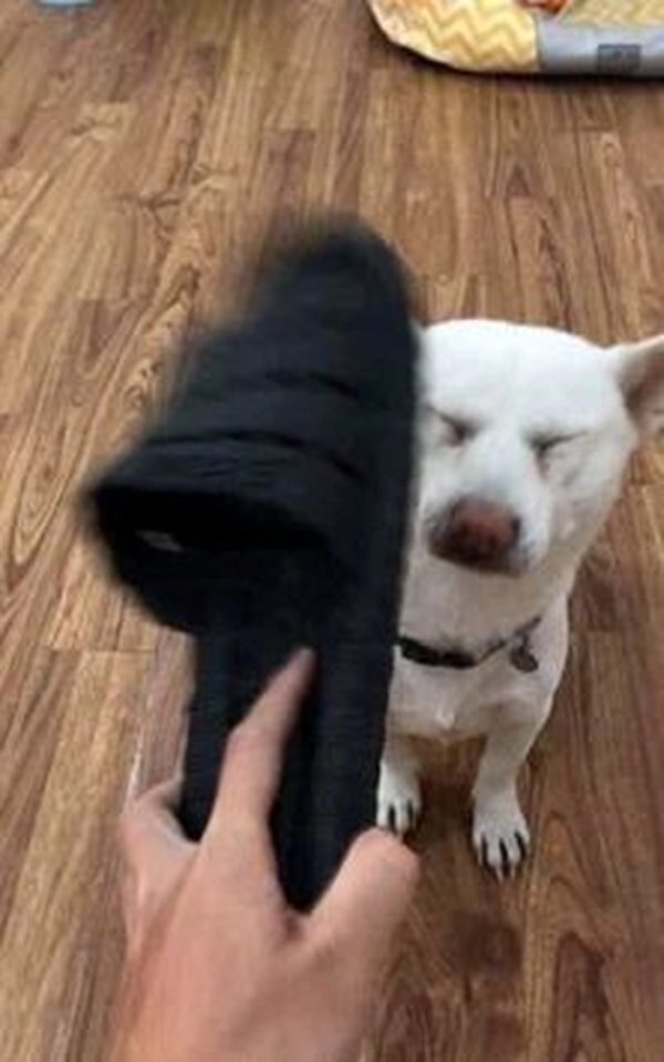 meme bịt miệng (13) meme bịt miệng (13)