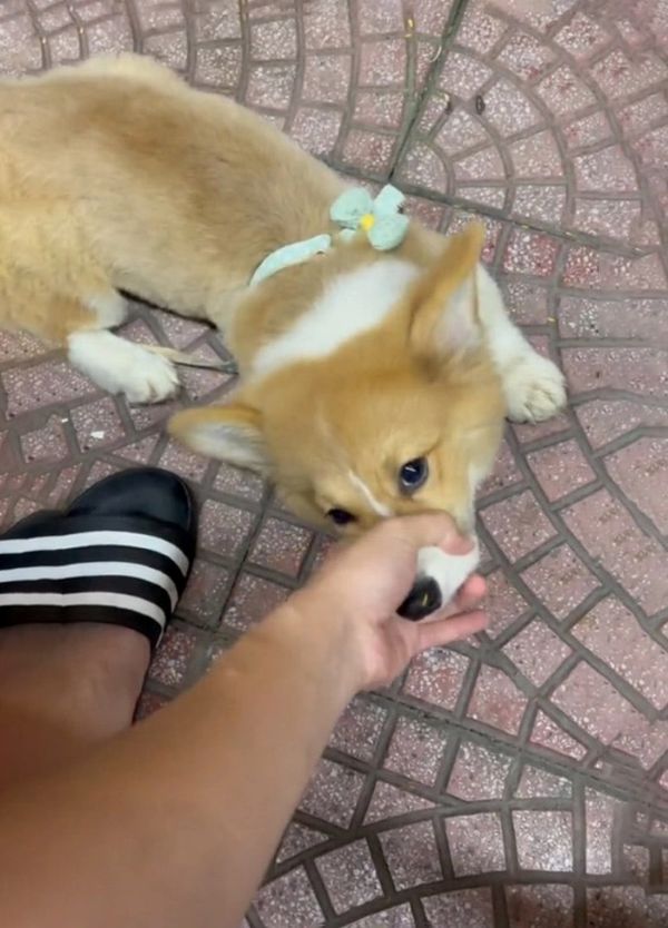 meme bịt miệng (18) meme bịt miệng (18)