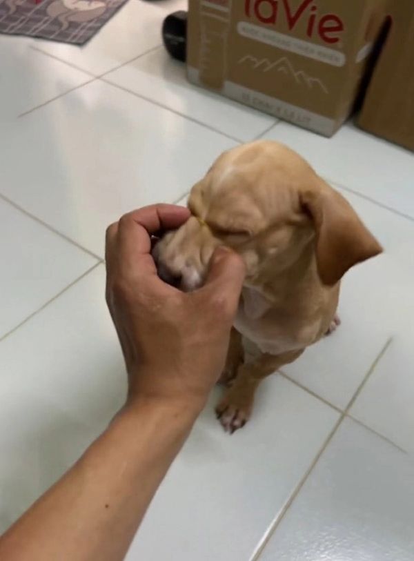 meme bịt miệng (19) meme bịt miệng (19)