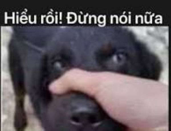 meme bịt miệng (23) meme bịt miệng (23)