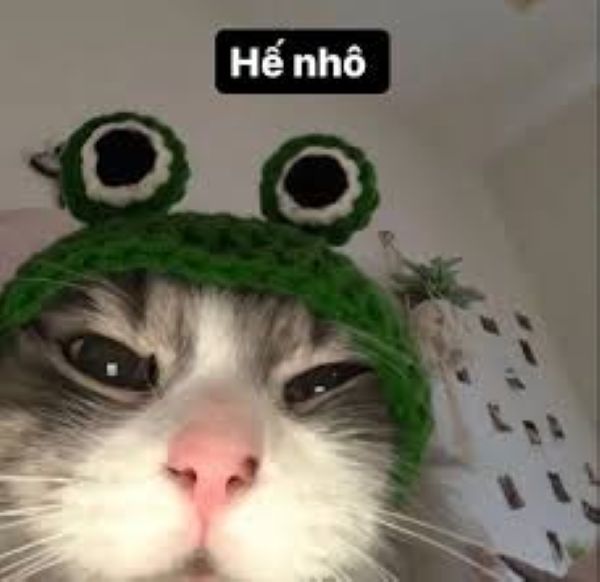meme chào cậu (18) meme chào cậu (18)