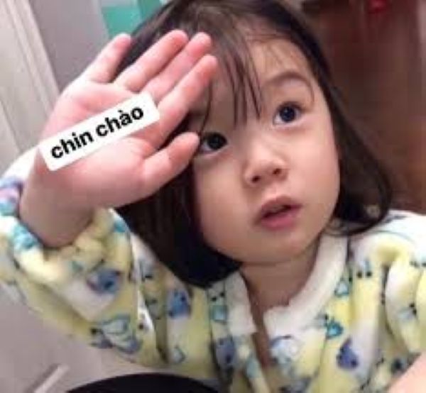 meme chào cậu (22) meme chào cậu (22)