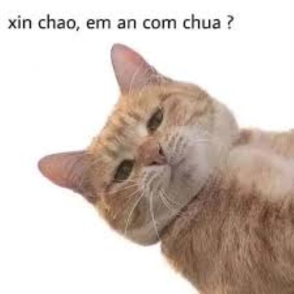 meme chào cậu (25) meme chào cậu (25)