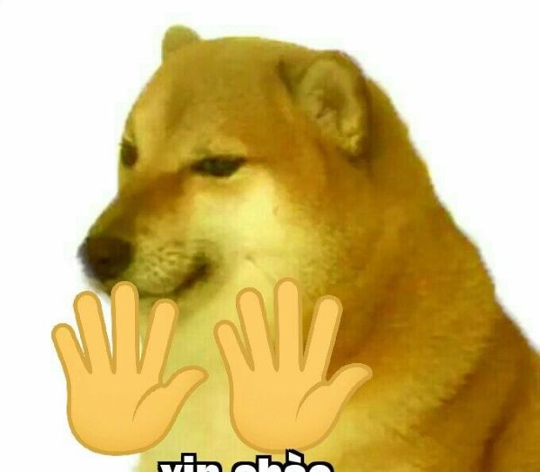 meme chào cậu (8) meme chào cậu (8)