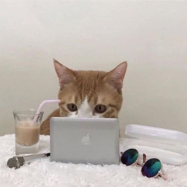 meme chạy deadline (2) meme chạy deadline (2)