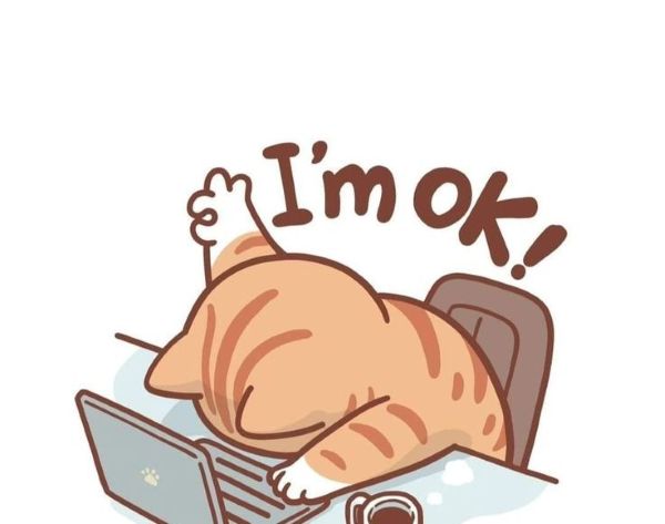 meme chạy deadline (7) meme chạy deadline (7)