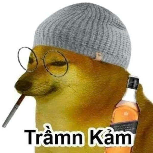 meme cheems trầm cảm