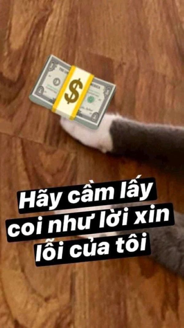 meme cho tiền (1) meme cho tiền (1)