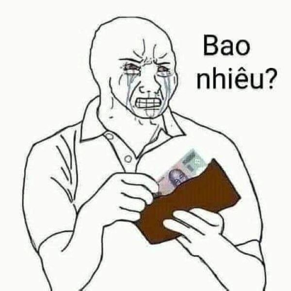 meme cho tiền (17) meme cho tiền (17)