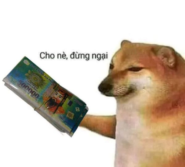 meme cho tiền (3) meme cho tiền (3)
