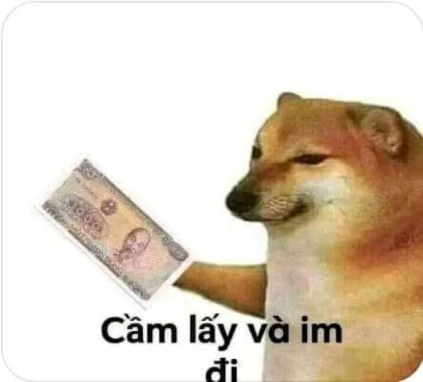 meme cho tiền (7) meme cho tiền (7)