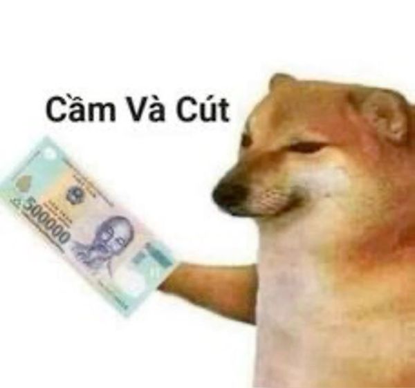 meme cho tiền nè meme cho tiền nè