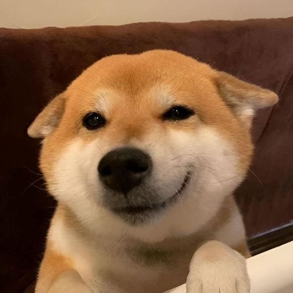 meme cười đểu (19)