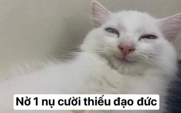 meme cười đểu (4)