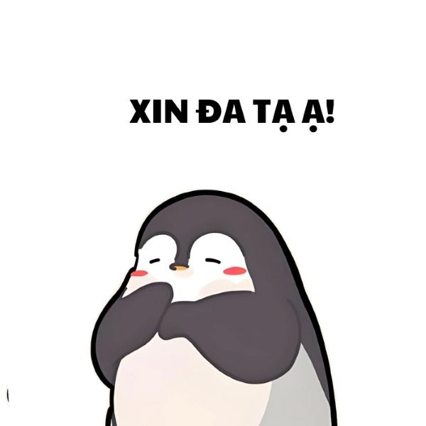 meme đa tạ (24) meme đa tạ (24)